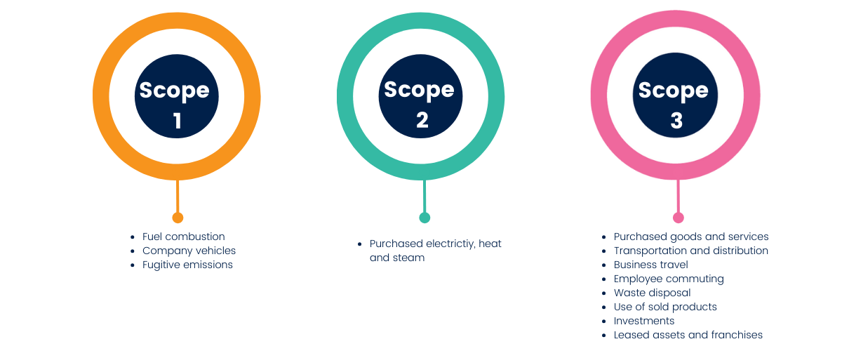 Carbon Trust Scope definition