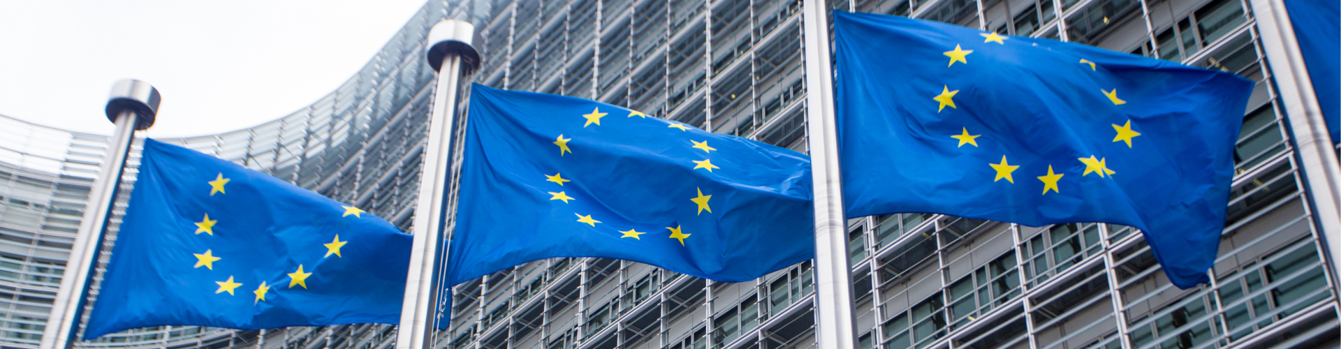 the EU flag