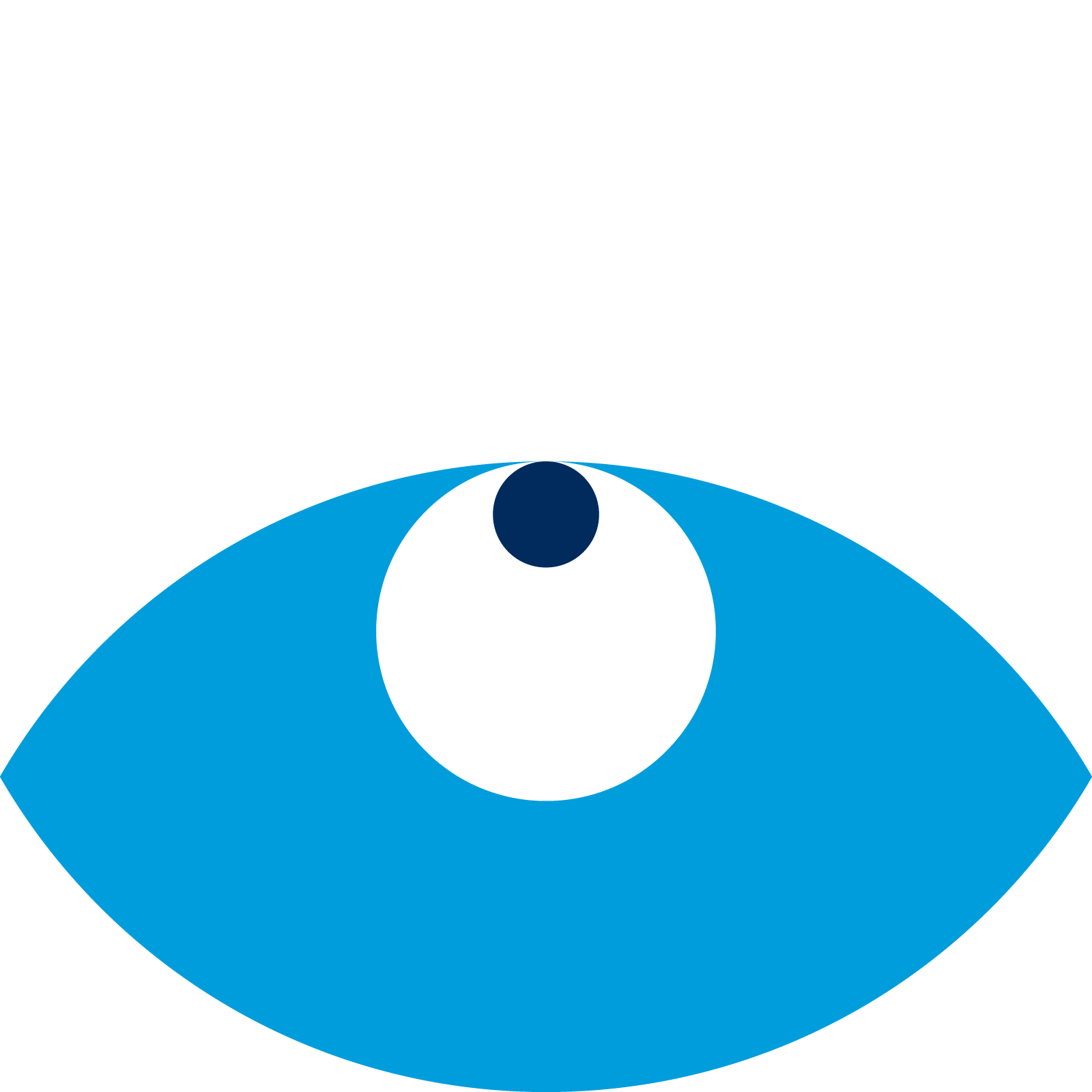 Visual pattern asset