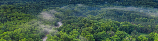 News images (within)